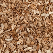 Woods (Branches / Bricks)